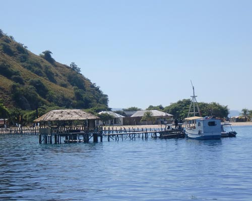 komodo indonesia tour packages